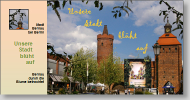Postkartenbuch
Unsere Stadt blht auf
Bernau durch die Blume betrachtet